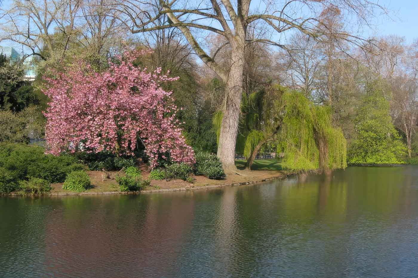 Hofgarten