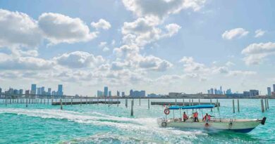 Boat Tours