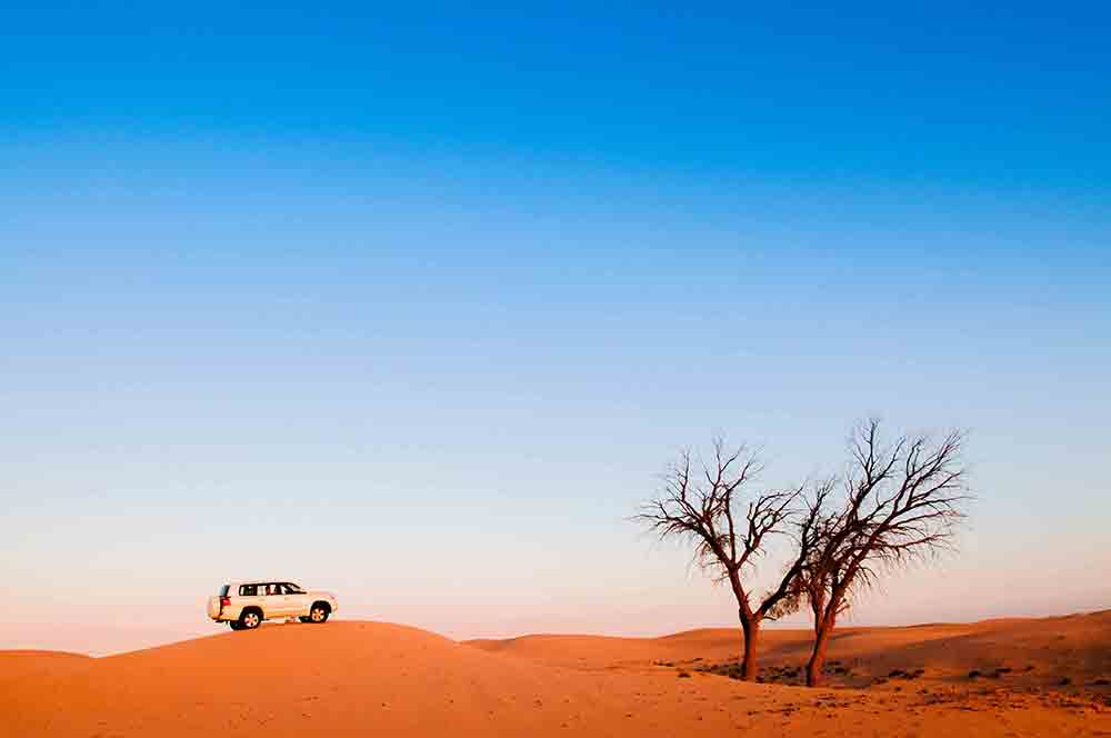 Desert Safari in Abu Dhabi