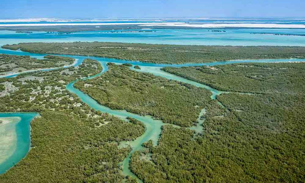 Eastern Mangrove National Park