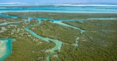 Eastern Mangrove National Park