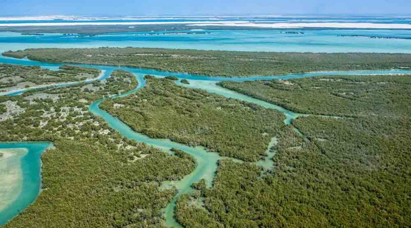 Eastern Mangrove National Park