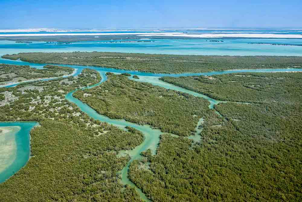 Eastern Mangrove National Park