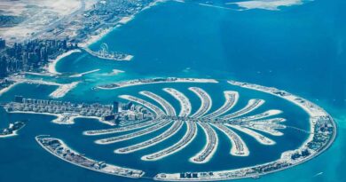 The Palm Jumeirah