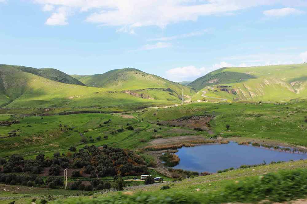 Top Things to do in Irbid