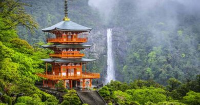 Top Things to Do in Japan