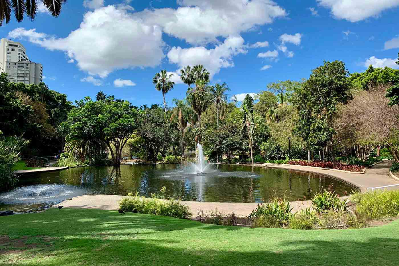 Brisbane Botanic Gardens