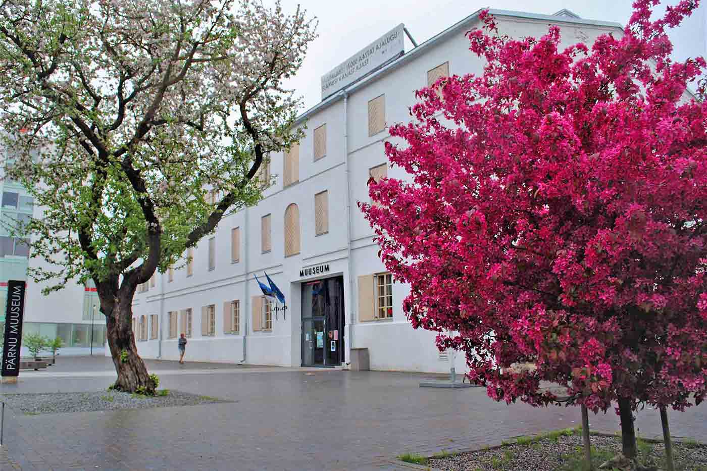 Pärnu Museum