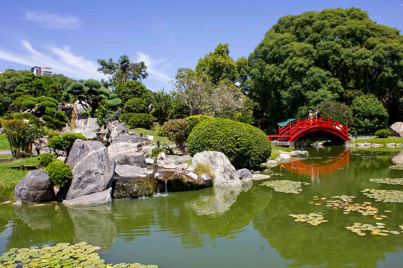 Japanese Garden