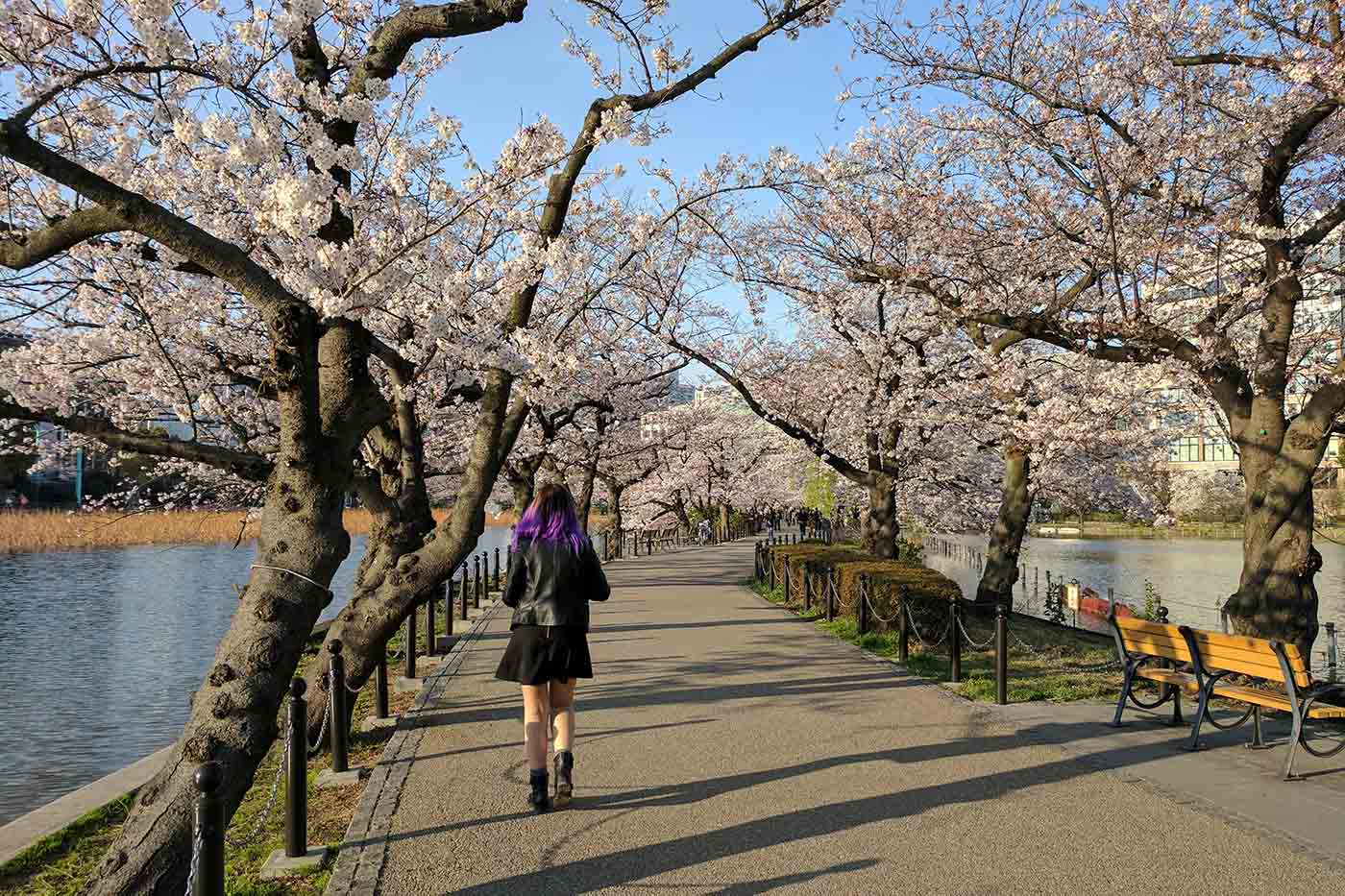 Ueno Park