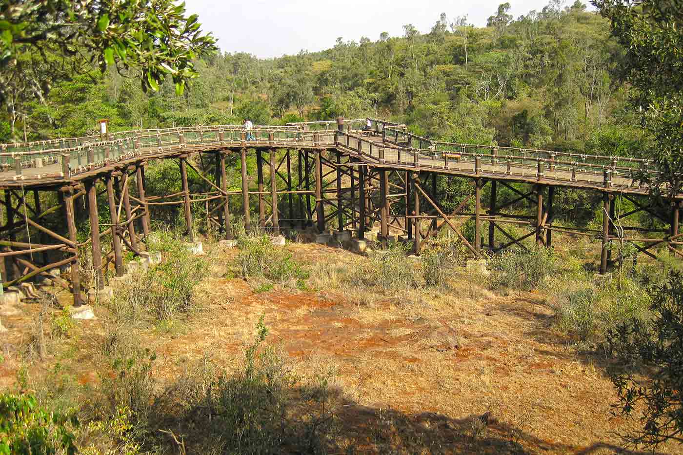 Nairobi Safari Walk