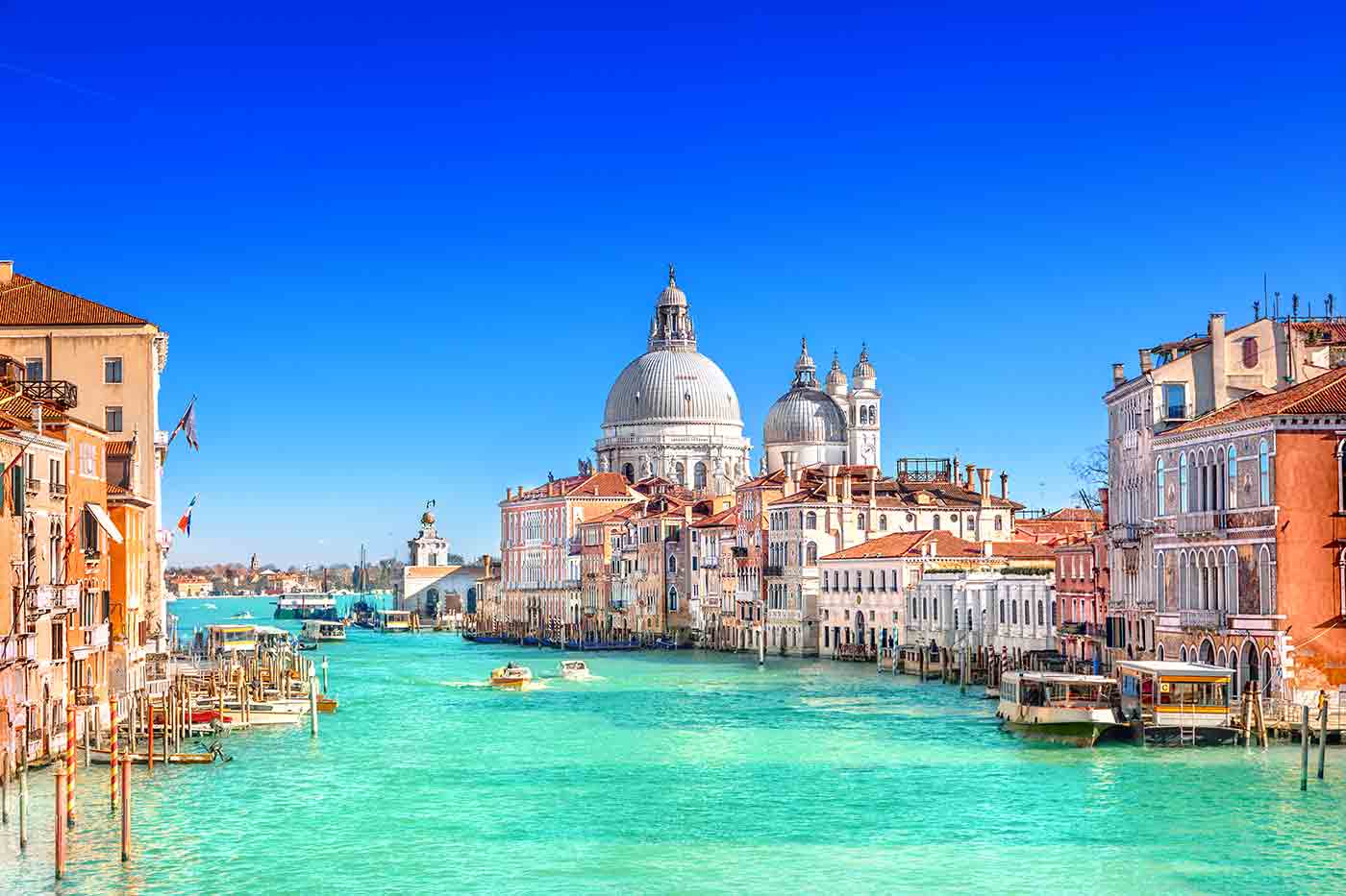 best tours venice