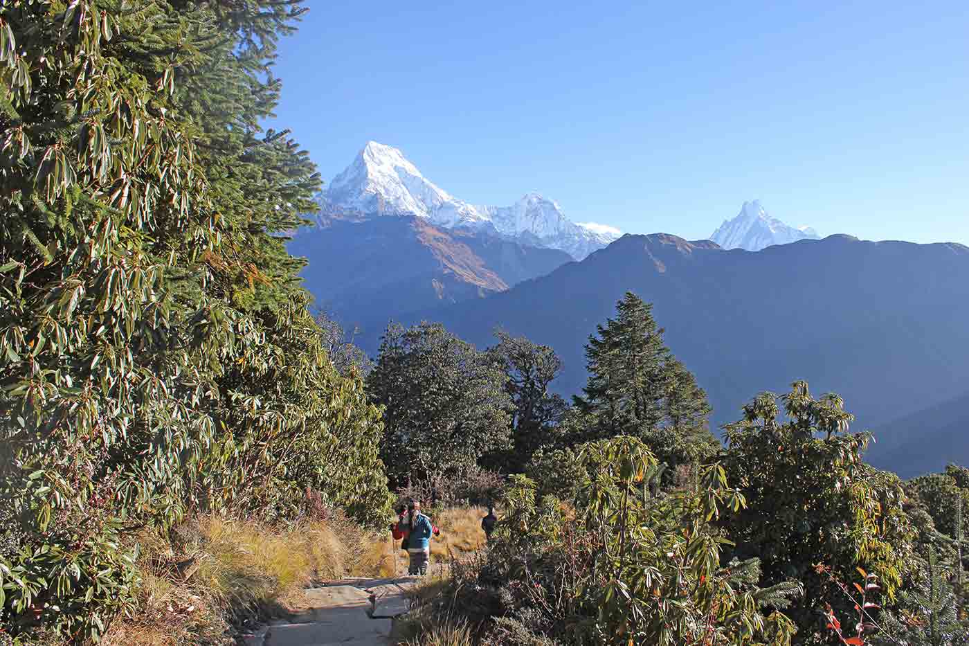 Ghorepani Poon Hill Trekking