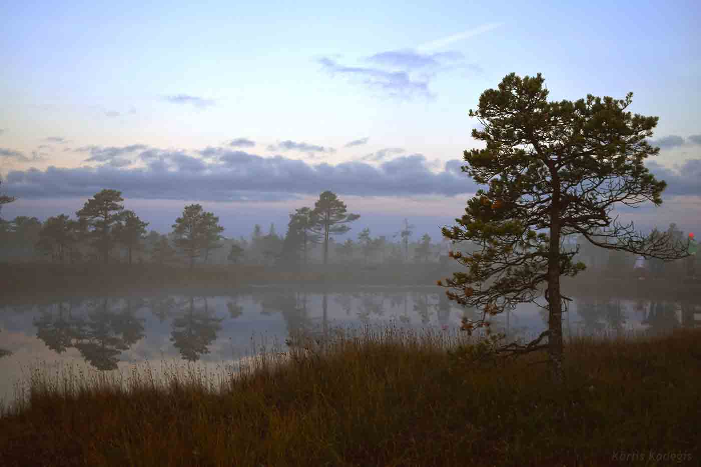 Great Kemeri Bog