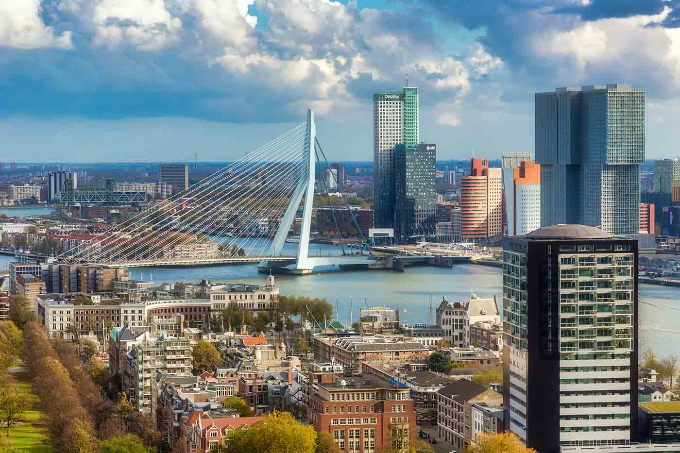 Best Things to Do in Rotterdam