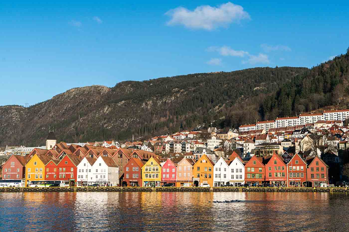 Bryggen Hanseatic Wharf