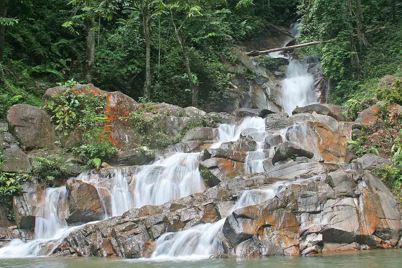 Jeram Toi Forest Eco Park