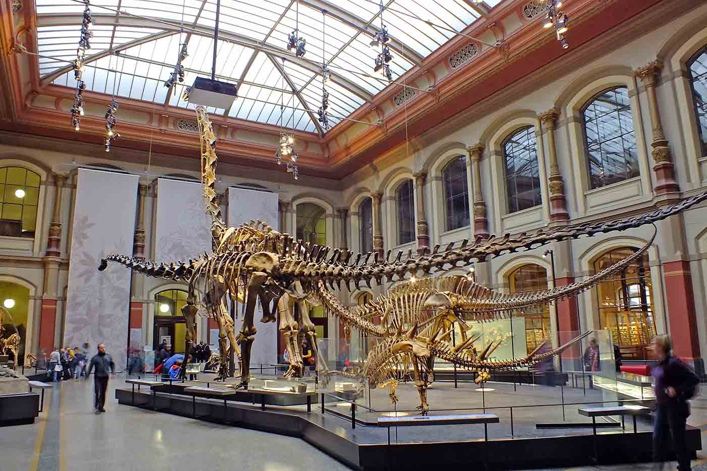 Natural History Museum