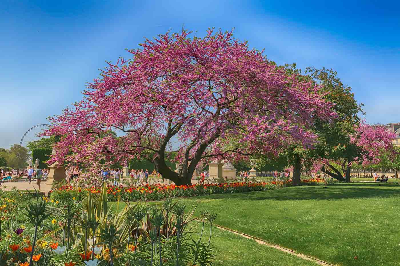 Tuileries Garden