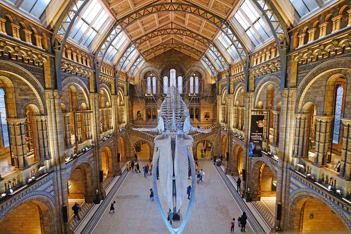 Natural History Museum