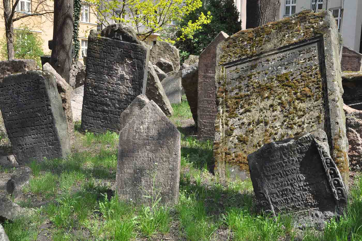 Old Jewish Cemetery