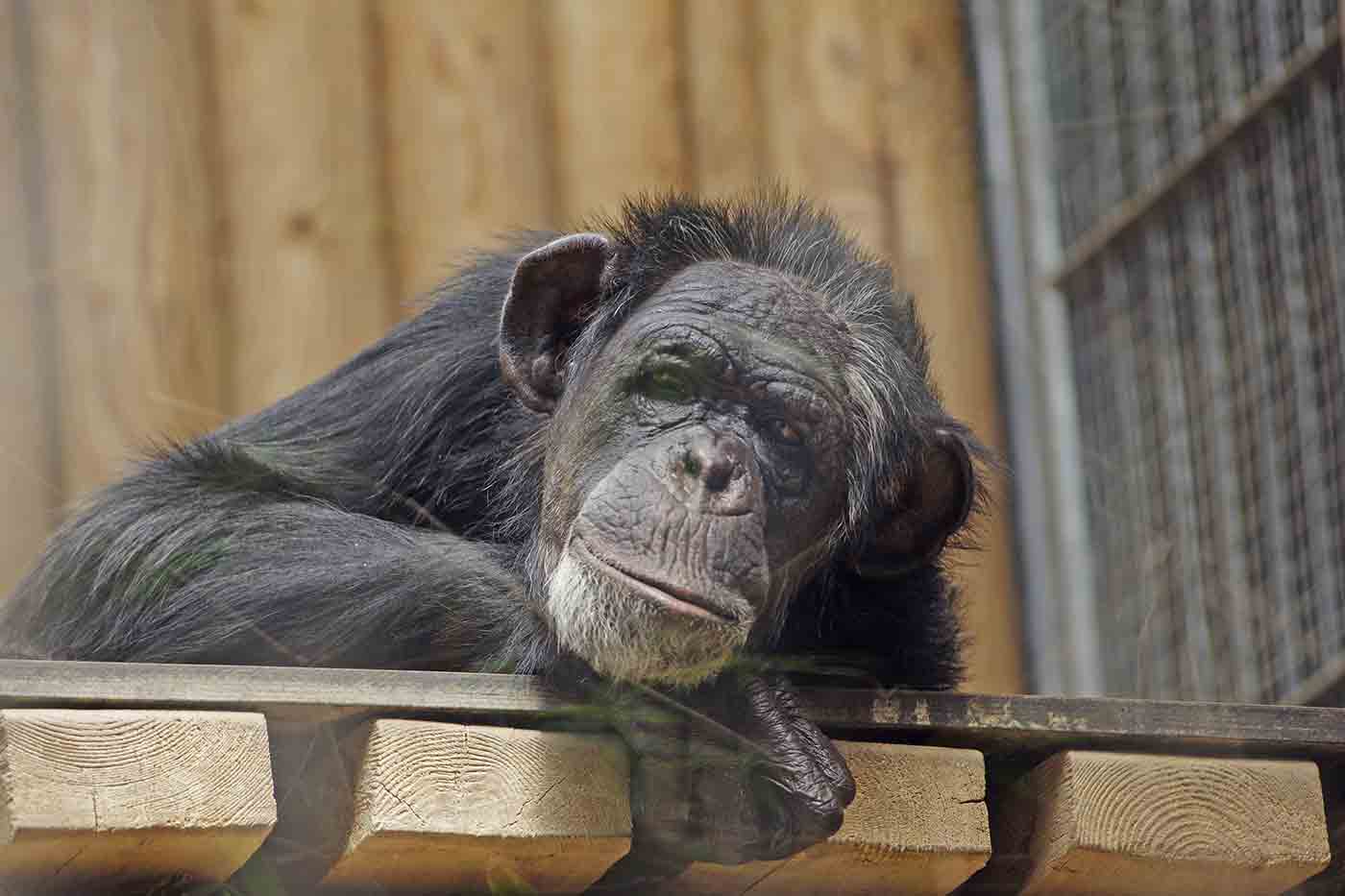 Tallinn Zoo