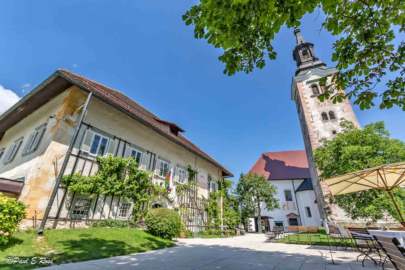 Bled Island Gallery