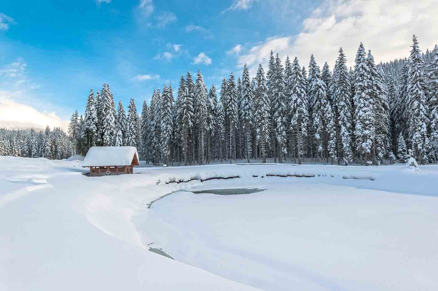 Pokljuka Plateau