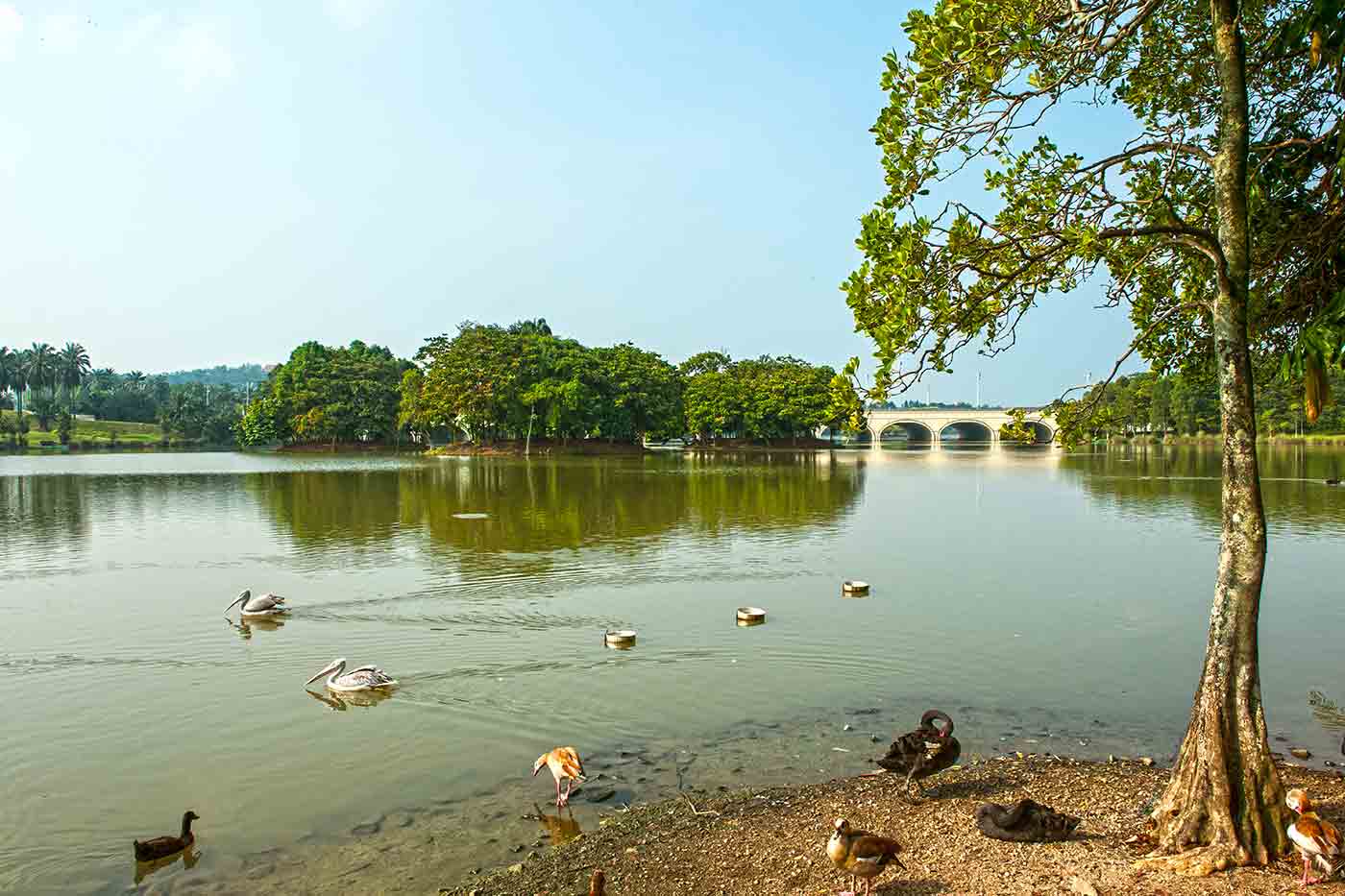 Putrajaya Wetlands Park