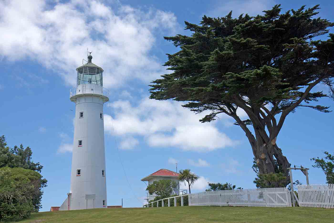 Tiritiri Matangi Island