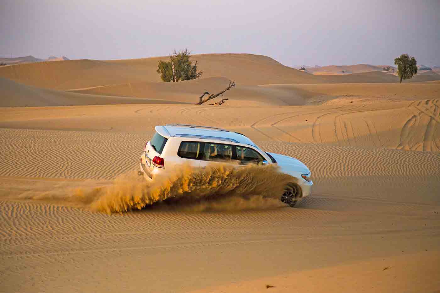 Desert Safari in Abu Dhabi