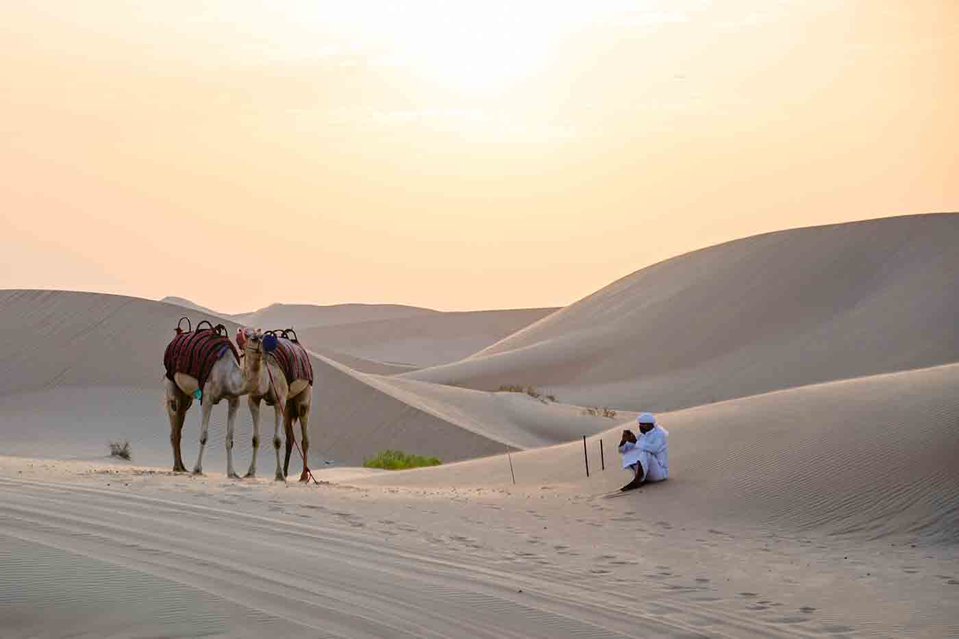 desert safari tour in Abu Dhabi