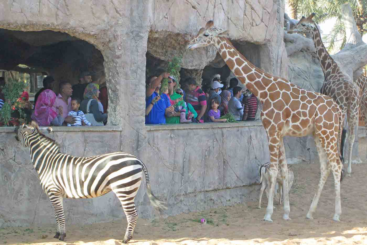 Emirates Park Zoo Abu Dhab