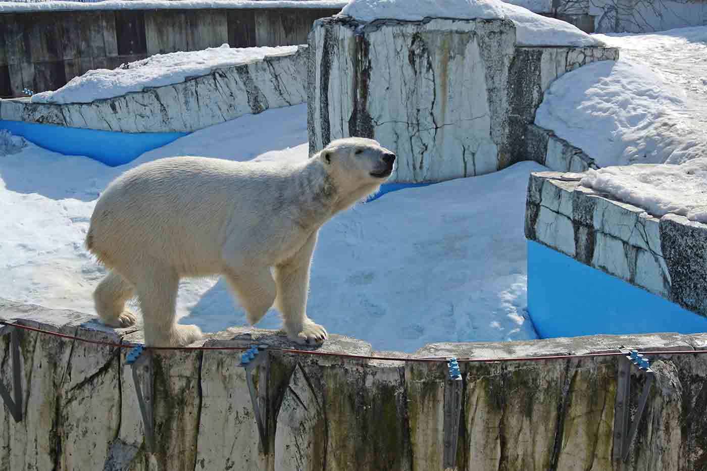 Maruyama Zoo