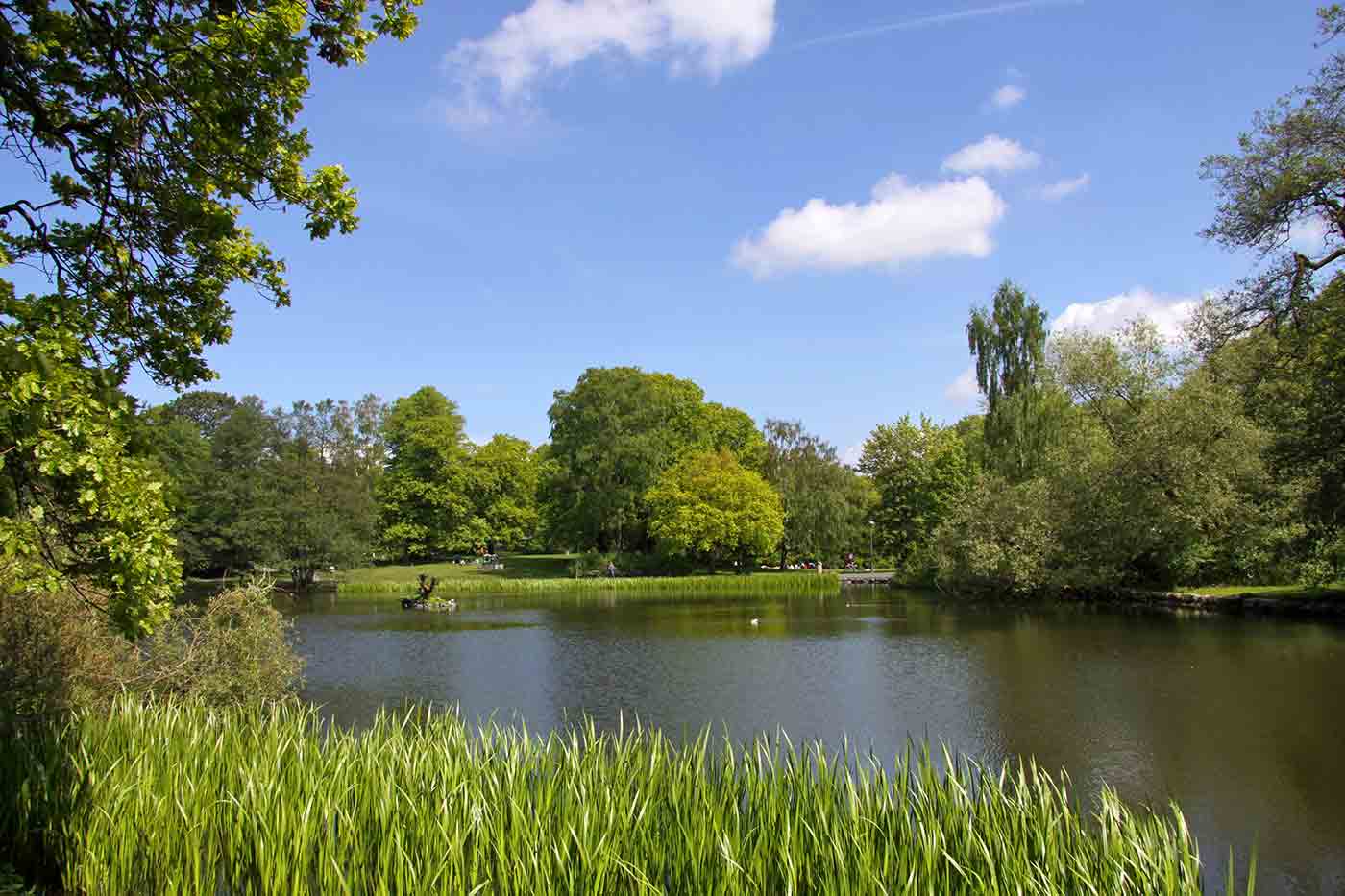 Slottskogen