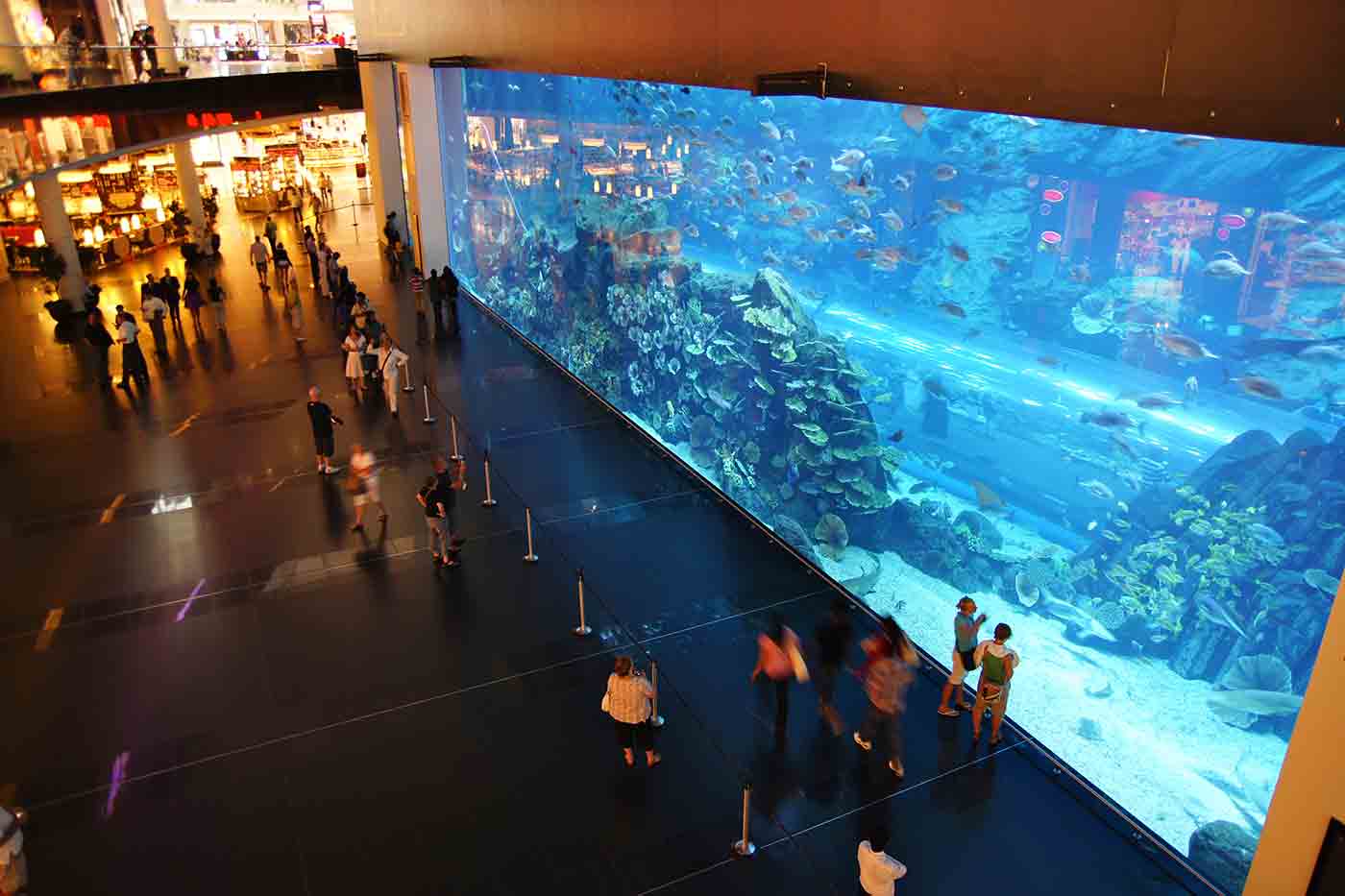 Dubai Aquarium and Underwater Zoo