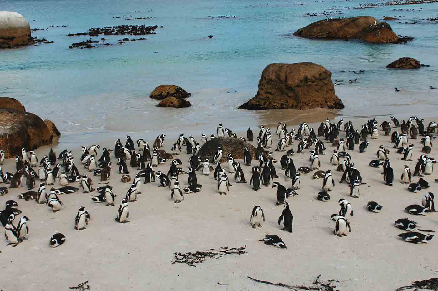 Boulders Beach