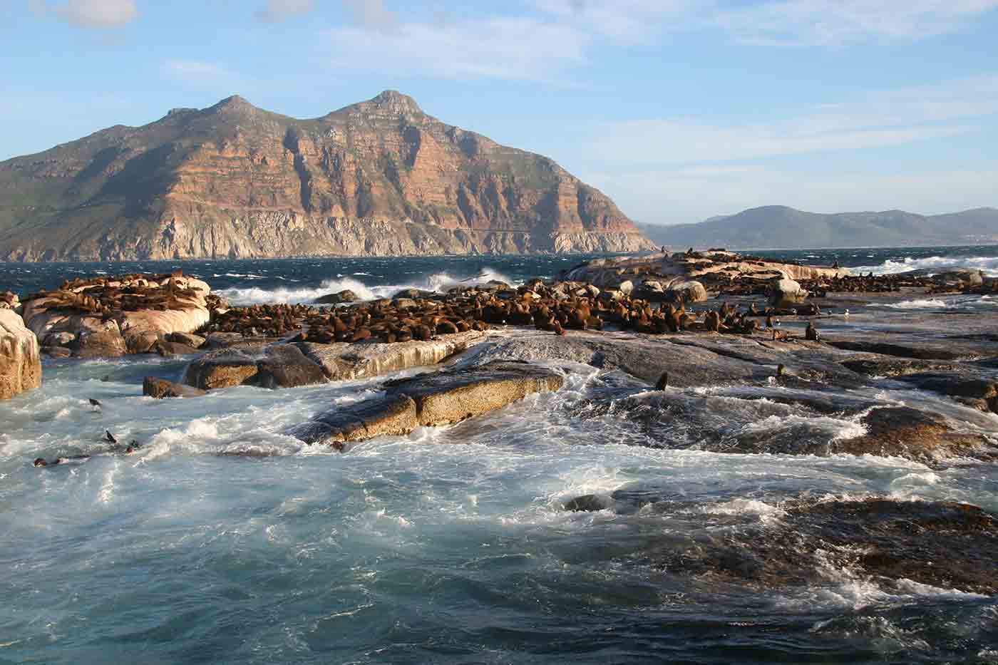 Duiker (Seal) Island