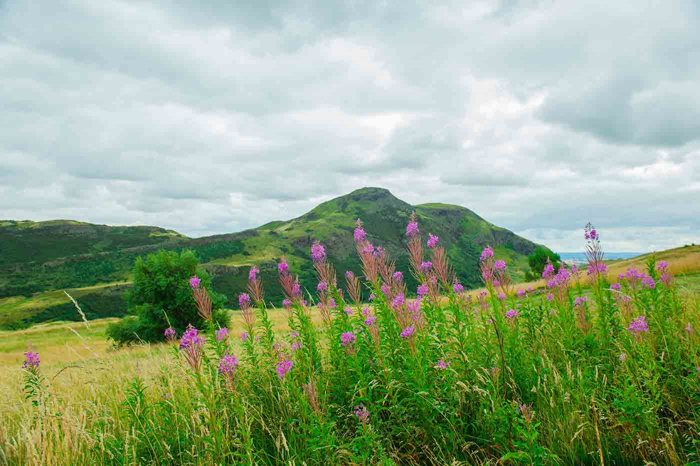 Holyrood Park