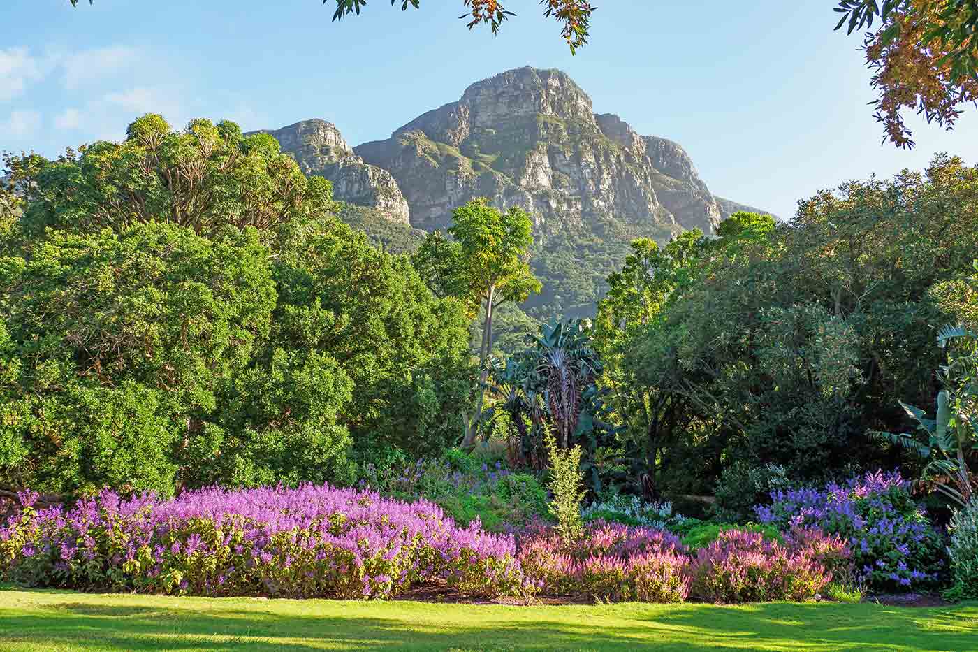 Kirstenbosch National Botanical Garden