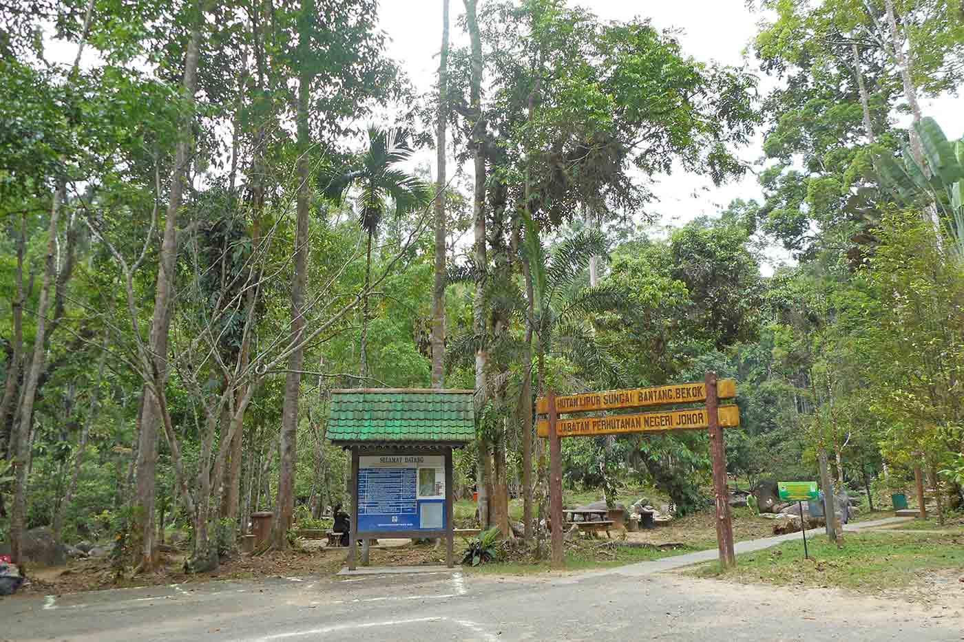 Recreational Forest Sungai Bantang