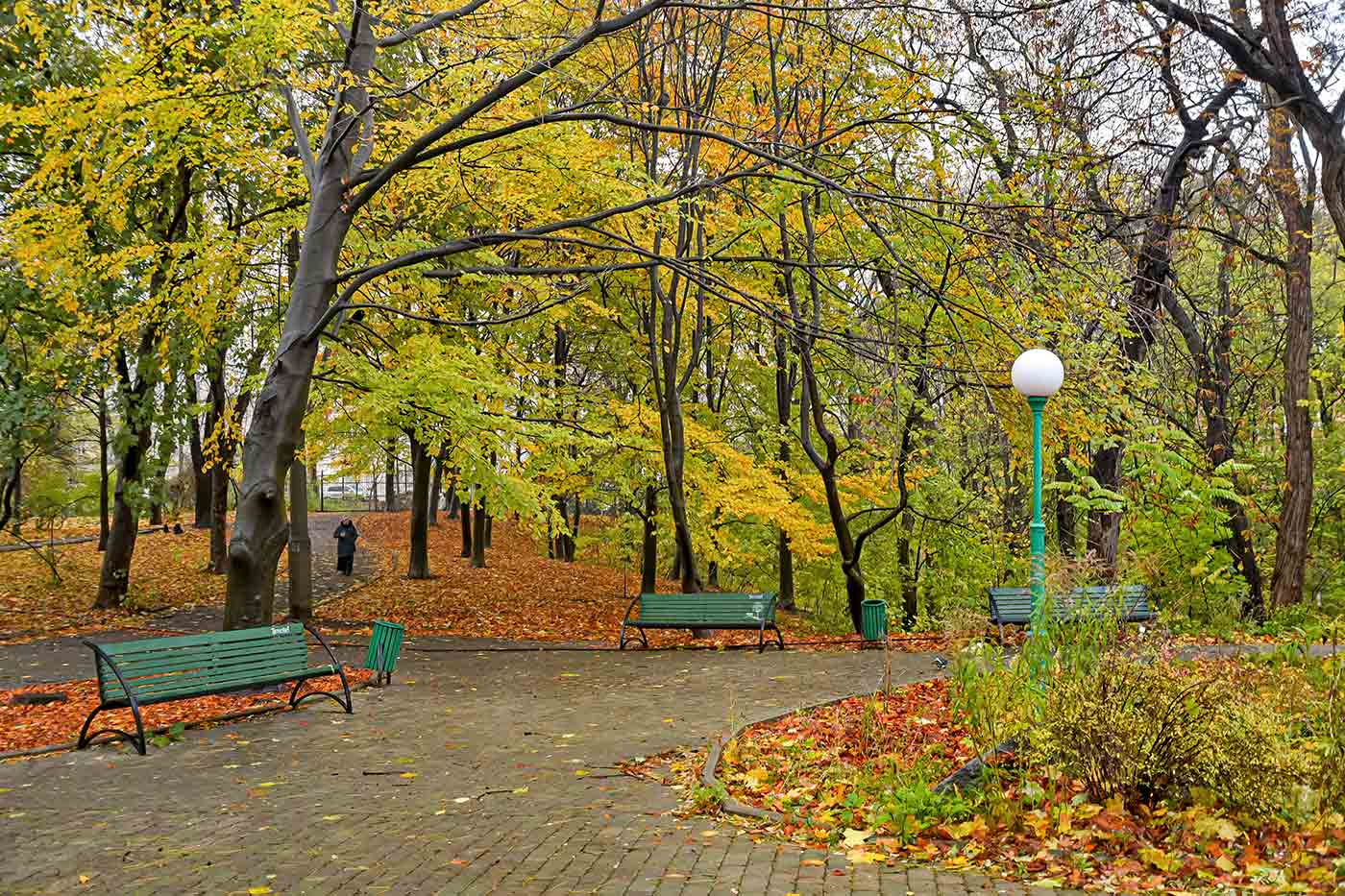 A.V. Fomin Botanical Garden