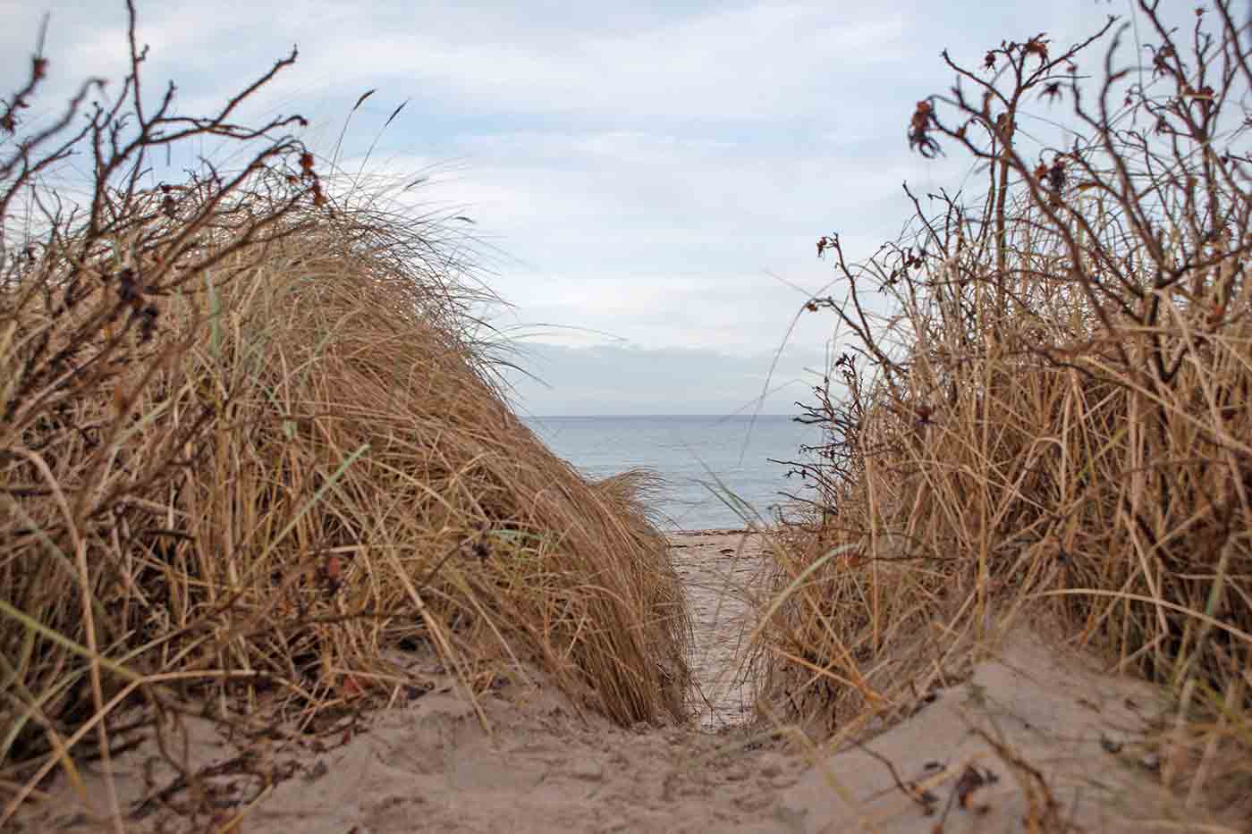 Dronningmølle Strand