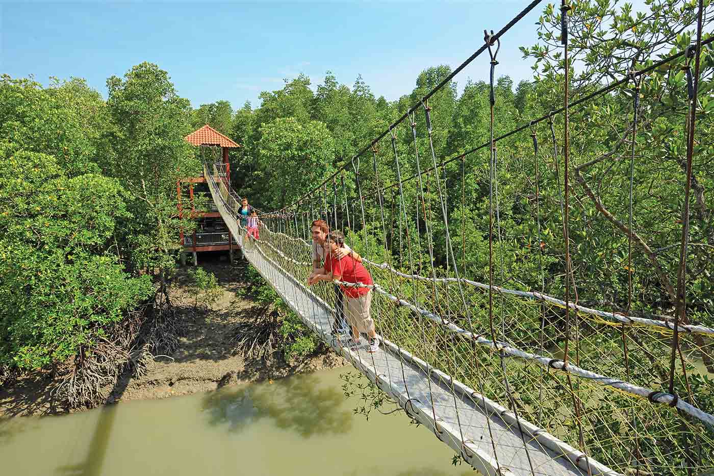 Kukup Island Johor National Park