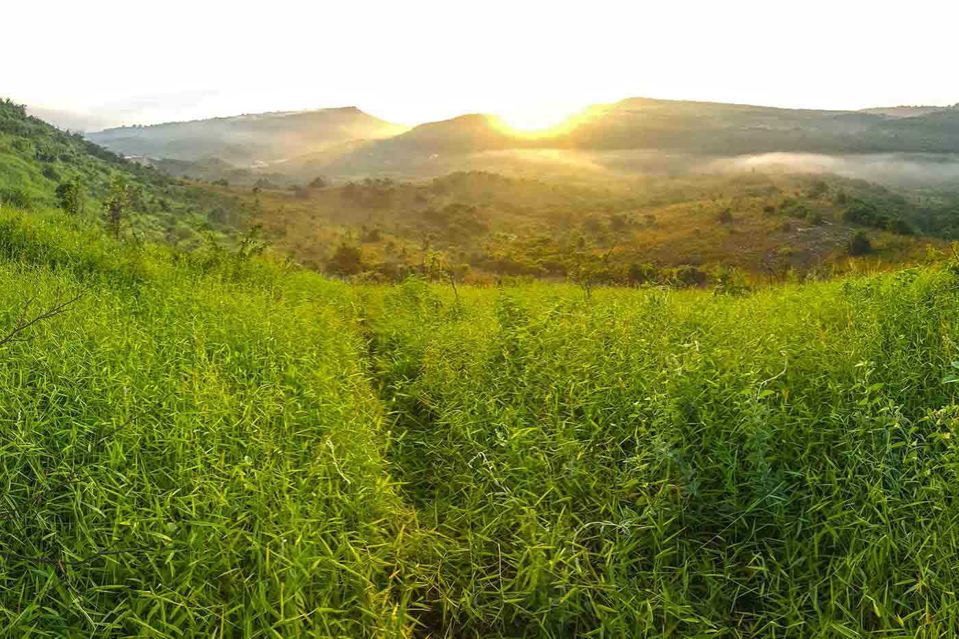 Pugu Hills Nature Reserve