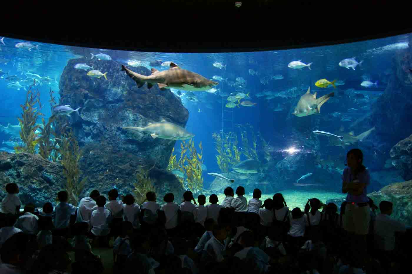 Siam Ocean World