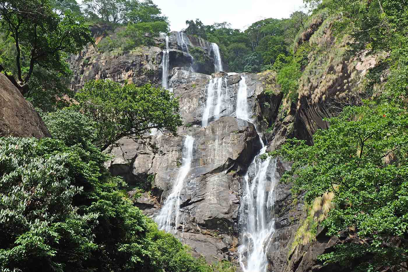 Udzungwa Mountains National Park