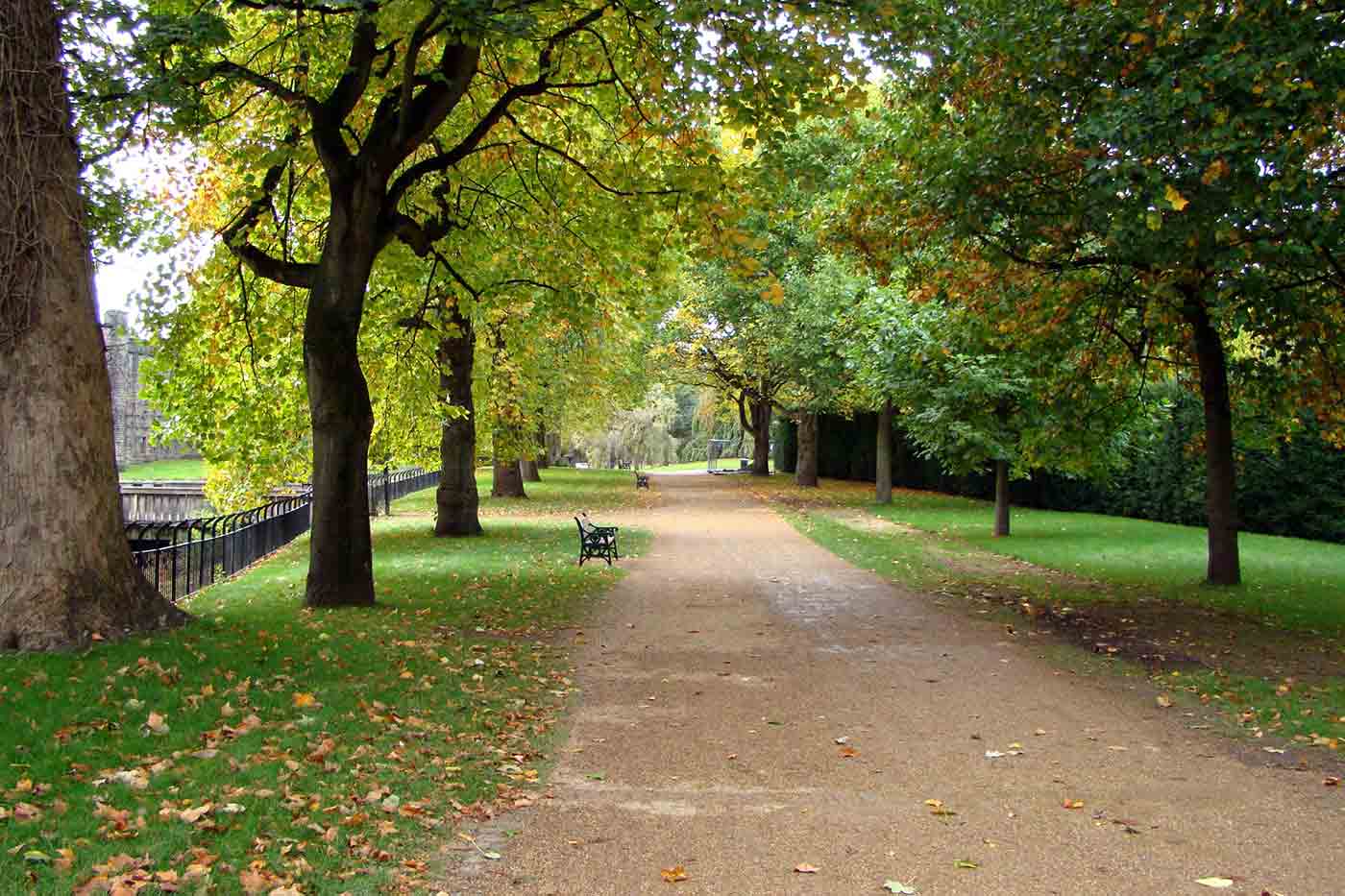 Bute Park