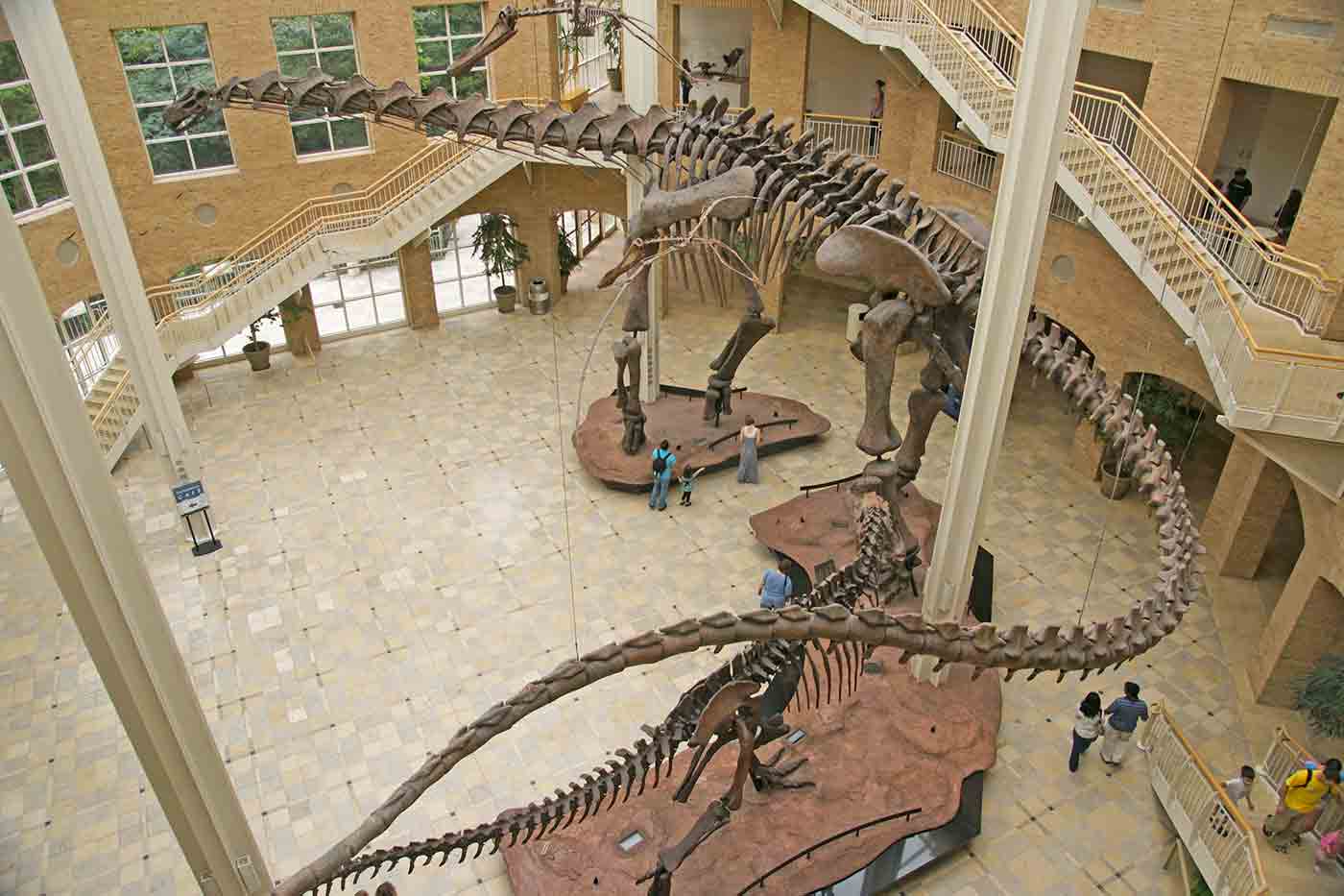 Fernbank Museum of Natural History