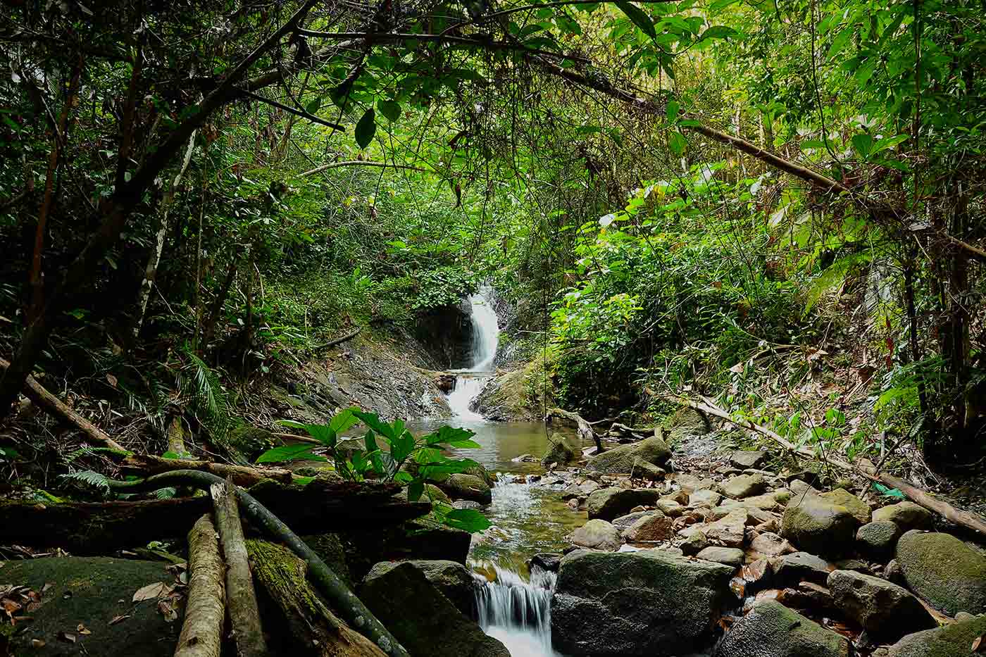 Gunung Belumut